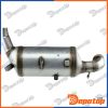 Filtres à Particules Diesel EURO4 pour FORD | DPF-FR-000, 27-6024